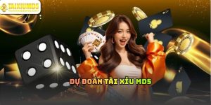 Dự Đoán Tài Xỉu MD5 Và Cách Hiểu Đúng Bản Chất Cơ Chế
